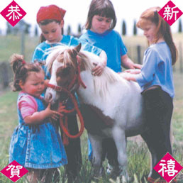 Photo MarinaSquare MiniatureHorses jpg